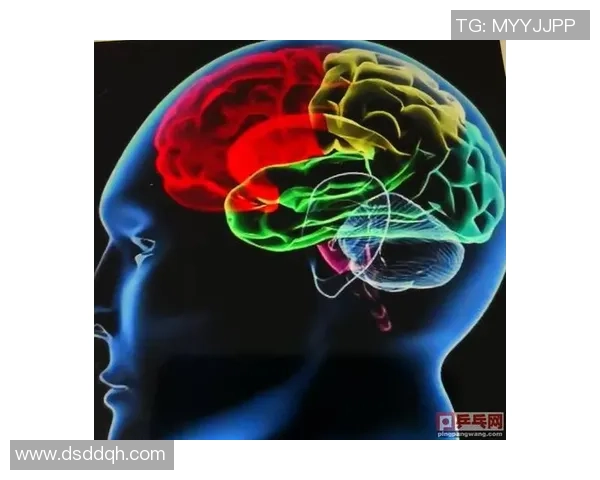 杭州乒乓球队防反体系解析与战术运用探讨