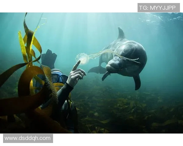 极限运动战术解析北京极限运动队边路渗透体系的创新与实践