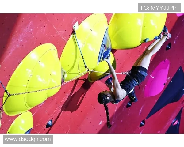 攀岩战术排行榜:南京攀岩队位居第7名 攀岩战术排行榜:南京攀岩队位居第7名