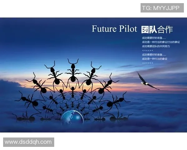 杭州足球队的崛起与发展：探索其背后的团队意识与文化传承