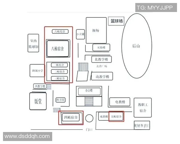 深圳网球队包夹战术创新与发展全景解析