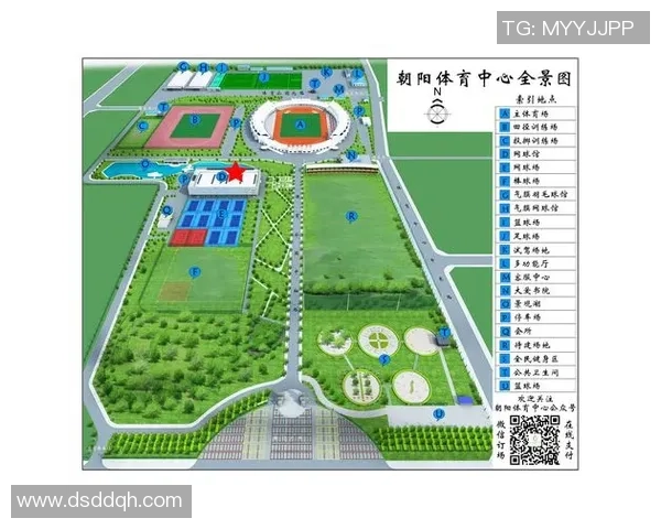 深入分析北京羽毛球队快攻战术的独特魅力与实战应用 深入分析北京羽毛球队快攻战术的独特魅力与实战应用